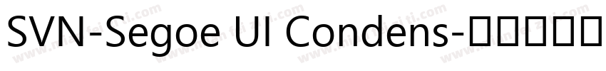 SVN-Segoe UI Condens字体转换
